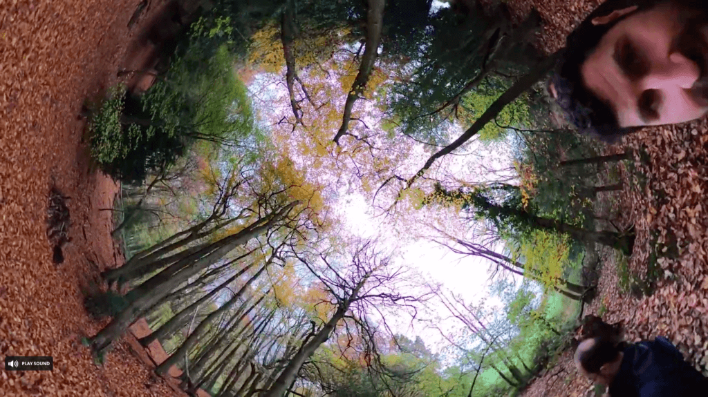 A 360 view with GoPro Max: two men in the woods during fall with leaves on the ground