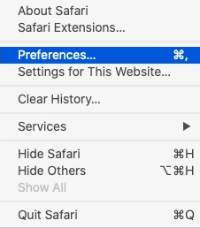 A screenshot of the Safari menu. 
