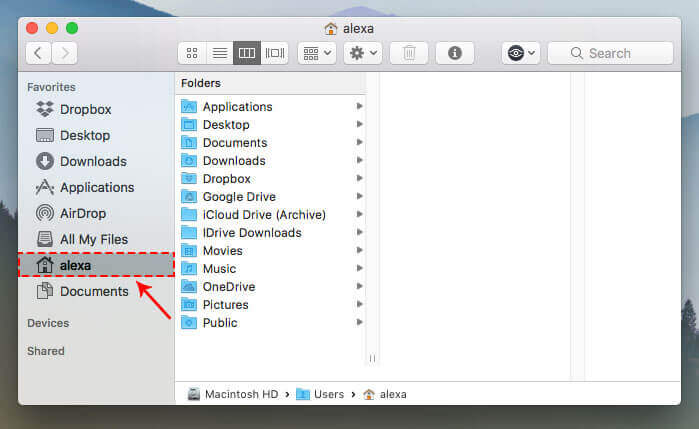 A screenshot of the alexa folder on a Mac's desktop